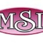 MSI logo